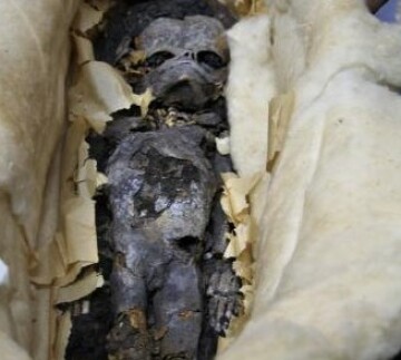 Egyptští badatelé zkoumají DNA dvou mumifikovaných dětských plodů, které byly uloženy v hrobce faraona Tutanchamona. Vědci chtějí zjistit, jestli šlo o mrtvě narozené potomky mladého faraona.