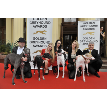 Czech Golden Greyhounds Racing Winners