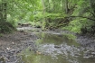 Ilustrační foto - Stovky ryb uhynuly v řece Rokytná v Moravském Krumlově na Znojemsku (na snímku z 26. července 2018). Podle předběžných výsledků rozboru vody byl příčinou nedostatek kyslíku v řece.