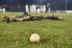 Baseball - ilustrační foto