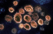Koronavirus SARS-CoV-2 na snímku z elektronového mikroskopu.