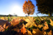 Ilustrační foto - Podzimní krajina. Ilustrační foto