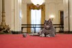 Kočka Willow, nový mazlíček rodiny Bidenových, v Bílém domě ve Washingtonu  27. ledna 2022.