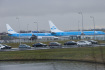 Letadla společnosti KLM na letišti Schiphol v Amsterodamu.
