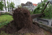 Vyvrácený strom v německém Lippstadtu, kterým se 20. května 2022 přehnalo tornádo.