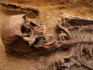 Archeologové našli na Břeclavsku kostru bojovníka se psy z 6. století. Je téměř neporušená. Pomůže to k bližšímu poznání langobardské populace. Na snímku z 18. června 2022 jsou kosterní pozůstatky.
