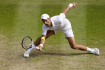 Srbský tenista Novak Djokovič ve finále Wimbledonu 10. července 2022. 