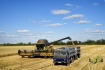 Ilustrační foto - Sklizeň pšenice na poli poblíž Melitopolu na jihu Ukrajiny, 14. července 2022.