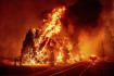 Stromy v plamenech při požáru v kalifornském okrese Mariposa. (22. července, 2022)