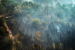 Hasiči bojují s lesním požárem u města Saint-Magne na jihozápadě Francie, 12. srpna 2022. 