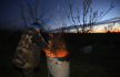 Pracovník v sadech společnosti Lukrom plus udržuje oheň v sudu mezi kvetoucími meruňkami. 29. března 2023, Buchlovice, Uherskohradišťsko. Opatření má zabránit tomu, aby květy ovocných stromů zmrzly.