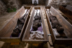 Mumie uložené v kryptě kostela sv. Prokopa ve Vamberku, 30. března 2023, Rychnovsko. 