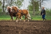 Jarní program v Muzeu zemědělských strojů Hoštice-Heroltice na Vyškovsku s ukázkou tradičního způsobu přípravy půdy koňmi, setí a sázení, 29. dubna 2023. 