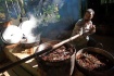 Ilustrační foto - Příprava psychedelického nápoje z ayahuascy v Amazonii. 