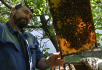 Farmář Luboš Nosek prohlíží plástve v úlu na Včelí farmě Nosek, která se stará o 150 včelstev, 24. července 2023 Kostelní Myslová, Jihlavsko. 