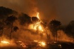 Lesní požár u řecké obce Dikela, která leží nedaleko města Alexandrupoli, 21. srpna 2023.