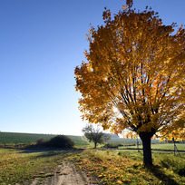 Ilustrační foto - Podzimní krajina u Sobětuch na Chrudimsku, 24. října 2021.