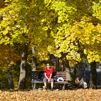 Ilustrační foto - Žena sedí na lavičce v pražském parku Stromovka za slunečného podzimního počasí 30. října 2021.