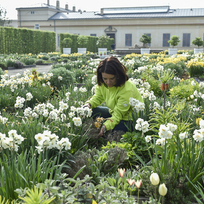 Zahradní architektka Pavla Nedbalová v Holandské zahradě, která je částí  Květné zahrady, 3. května 2022, Kroměříž.