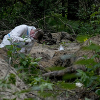 Odborník zkoumá ostatky exhumované z masového hrobu nedaleko ukrajinské vesnice Buča. 