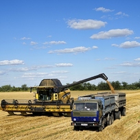 Sklizeň pšenice na poli poblíž Melitopolu na jihu Ukrajiny, 14. července 2022.
