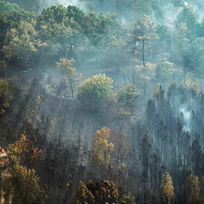 Hasiči bojují s lesním požárem u města Saint-Magne na jihozápadě Francie, 12. srpna 2022. 