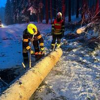 Hasiči Moravskoslezského kraje odstraňují strom spadlý na silnici, 4. února 2023.
