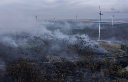 Oltre alla Boemia settentrionale, gli incendi boschivi hanno colpito anche la Germania e l’Italia