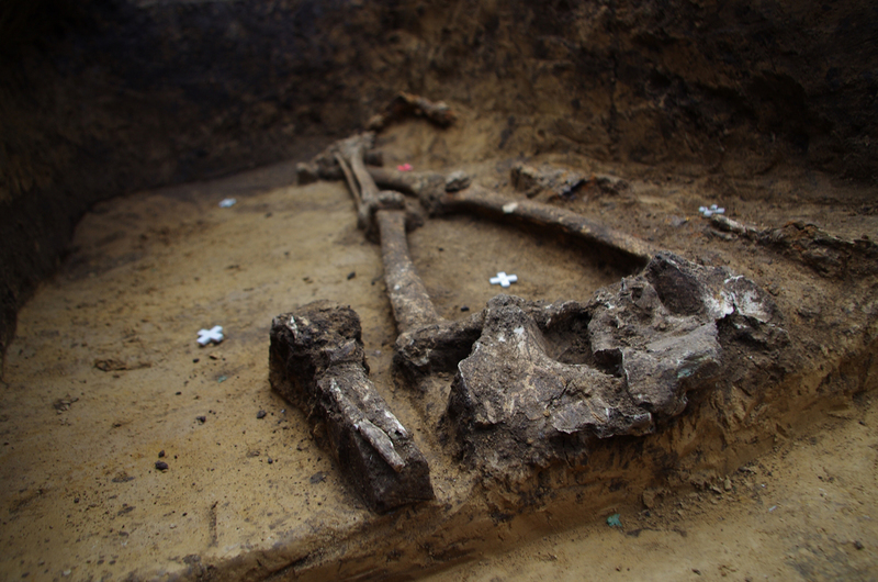datování kostí archeologie zapojte se do saskatchewanu