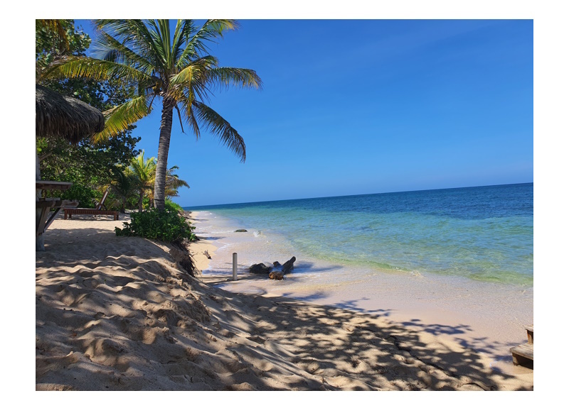 Toužíte po životě v ráji? Objevte Roatan – perlu Karibiku!