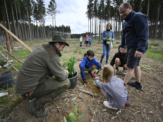 Do akce Den za obnovu lesa se po celém Česku zapojily tisíce lidí