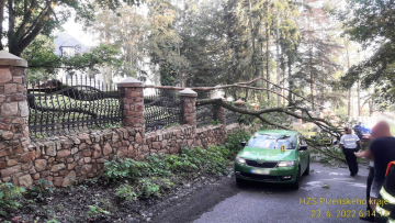Na jedoucí auto spadl 23. června 2022 ráno u zámku Kříše nedaleko Břas na Rokycansku vzrostlý strom. Řidička utrpěla zranění, na autě vznikla škoda 210 tisíc korun. 