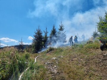 Hasiči zasahují v obci Hošťálková na Vsetínsku u požáru pět let starého lesu, 10. srpna 2022. Je v nepřístupném terénu na ploše asi 150 krát 150 metrů. 
