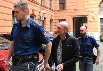 Soud v Brně uložil Pavlu Vorlickému z Jihlavy, kterého policisté hledali od roku 2005, kvůli podvodům za téměř 90 milionů korun devět let vězení. 