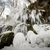 Na několika místech v Česku byly rekordní mrazy
