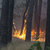  U Horní Cerekve hořelo 12 hektarů lesa, kvůli práci na železnici
