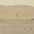 NASA prodloužila testování svého vrtulníku na Marsu o 30 dnů