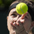 Třetí kolo turnaje v Miami si zahraje šest českých tenistek